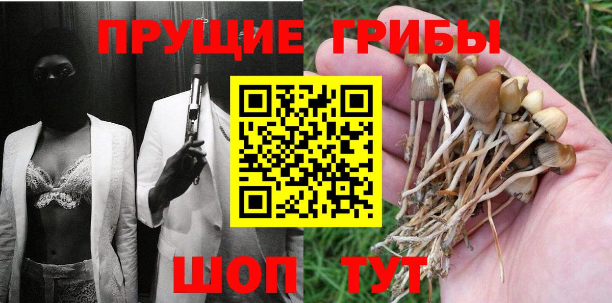 Галлюциногенные грибы Magic Shrooms  Вход с VPN  Шали  Галлюциногенные грибы Psilocybe 